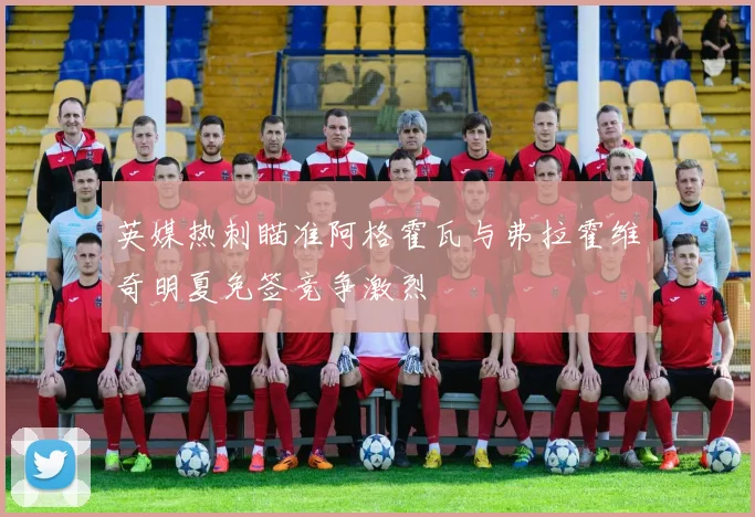 英媒热刺瞄准阿格霍瓦与弗拉霍维奇明夏免签竞争激烈