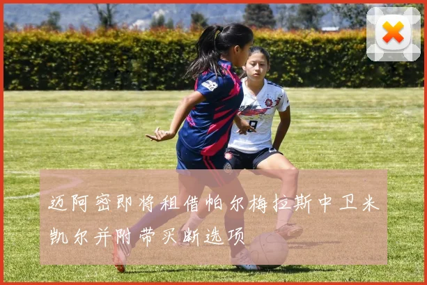 迈阿密即将租借帕尔梅拉斯中卫米凯尔并附带买断选项